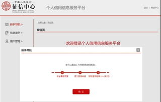 超重磅！史上最嚴征信系統正式上線，影響深遠，手把手教您查詢